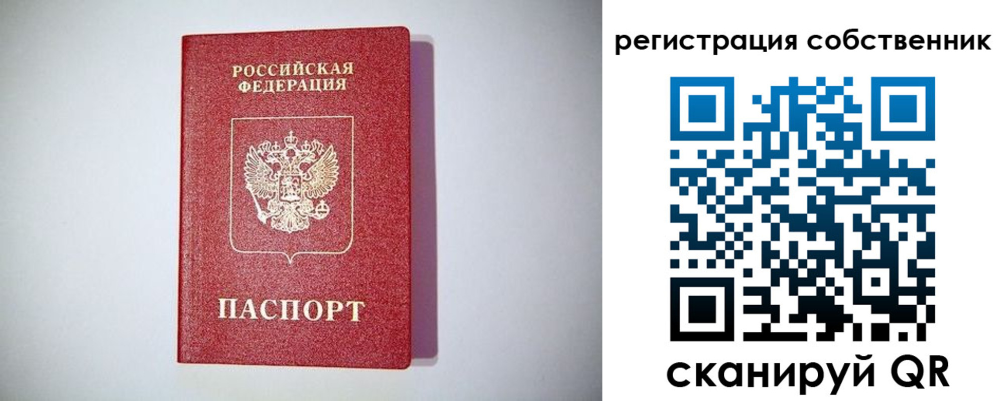 временная регистрация для школы в Бикине